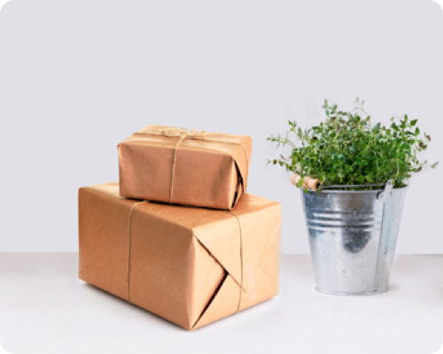 Parcels piled next to a plant